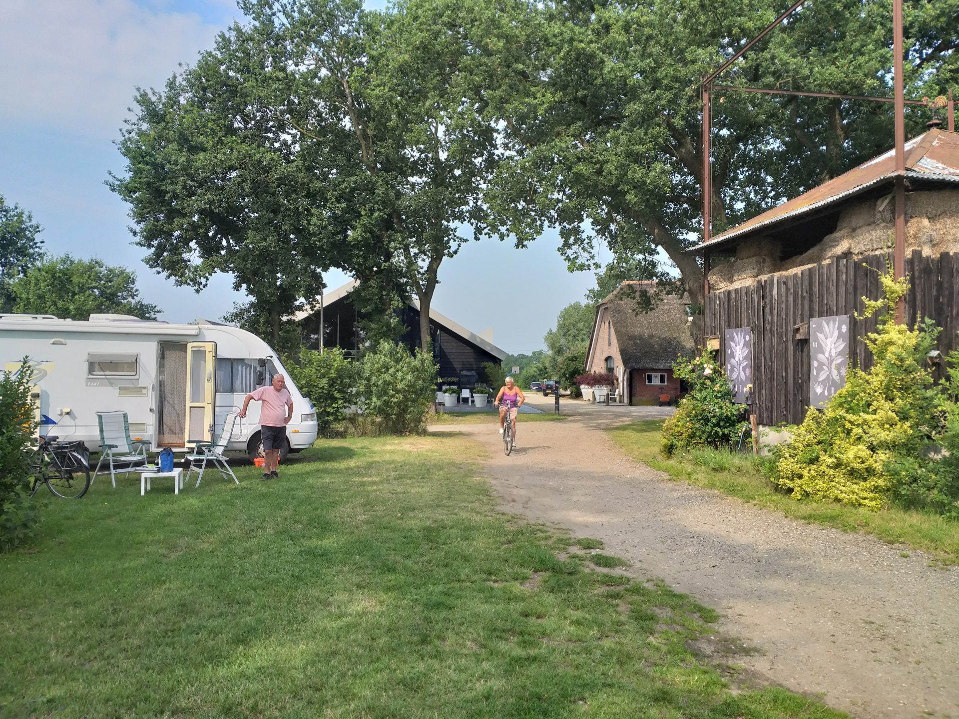 Camping de Oldenhove Veld C ruim opgezet met veel zon