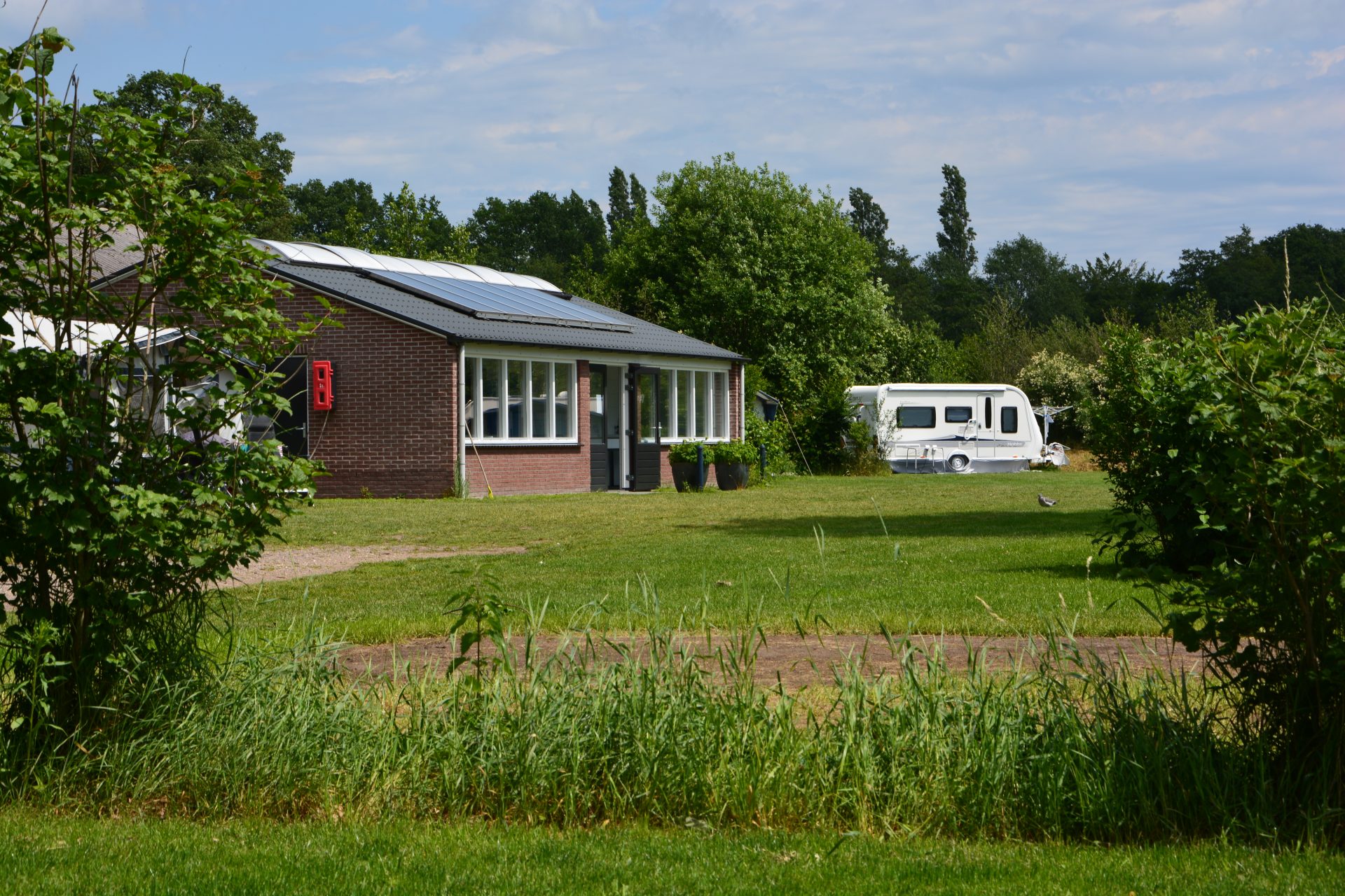 Camping de Oldenhove Veld C ruim opgezet met veel zon