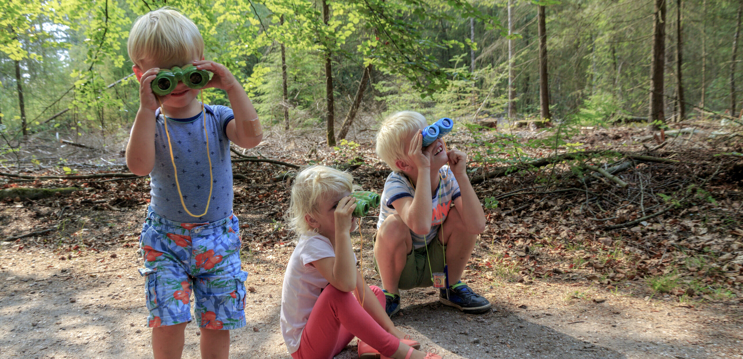 Kleine kindvriendelijke camping Veluwe