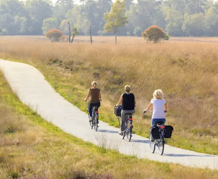 fietsen-de-hoge-veluwe-jurjen-drenth-1