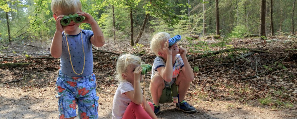 Netherlands, Epe, veluwe camping de oldenhove kindvriendelijk gezin