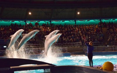 kleiner_DSC_0085-1013x675